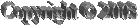 Copyright  2003 